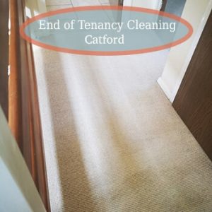 carpet cleaning services catford